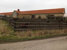 Ruda, zemdlsk dvr Amlie.jpg