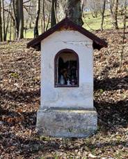 Bou kaplika u cesty na Bousk vrch bezen 2021 (2).jpg