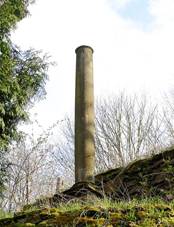 Hebeny sloup na kterm stvala socha Panny Marie.jpg