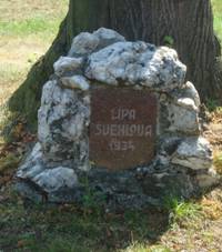 Hnojice-pamtn strom vehlova lpa 1934