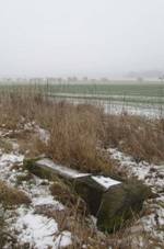 K vchodn od Hradian (Q66056436).jpg