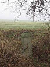 K severn od Mileva mezi stromy (Q66056396).jpg