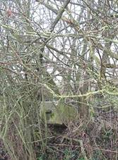 K vchodn od Mileva (Q66056395).jpg