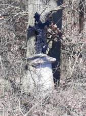 K zpadn od Myslinky (Q94440037) 03.jpg