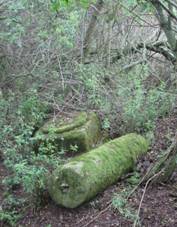 K jin od Pehova (Q66052793).jpg