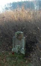 K u Vranova nedaleko drhy (Q66056582).jpg