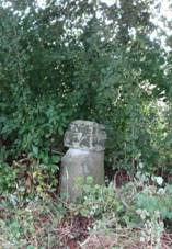 K nad Veruby u silnice - prvn od Plzn (Q66056574).jpg