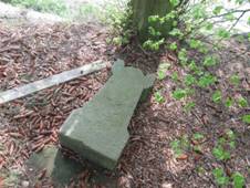 K vchodn od Verub (Q66053568) 02.jpg