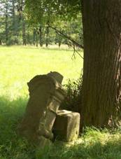 K zpadn od Kokoova u Telecho mlna (Q66054792).jpg