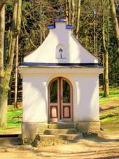 Kaplika s pramenem (foto: jarda.culik)