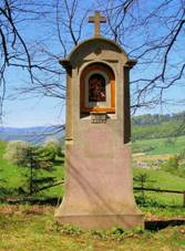 Kek (foto: jarda.culik)