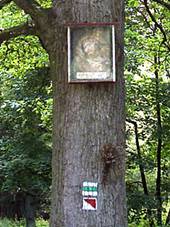 Obrzek Krista na doubku