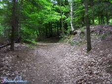 Relifn zbytky hradu, pstupov cesta, val a pkop. (foto: Kamler)