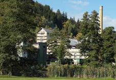 Hanuovice brewerey.JPG