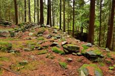 2014-07-09 Sedlo - val 2.jpg