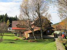 JavornÃ¡ (Buchar) - bÃ½valÃ½ hamr 2.JPG