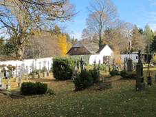 JavornÃ¡ - zachovalÃ½ starÃ½ hÅ™bitov.JPG