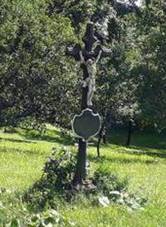 K na nvsi v Blanice (Q80455454).jpg