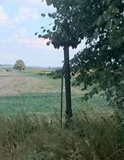 K jin od Skopytc (Q80457720).jpg