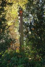 Sudomice u Tbora - bo muka u domu p. 39 (1).jpg