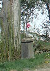 Velk Jeov, okraj vesnice.jpg