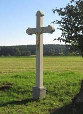 K v poli severn od Zhostic (Q80462237).jpg