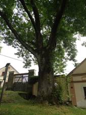 Jadru, Jadrusk jasan a brny p. 18 a 17.jpg