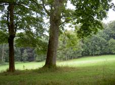 SchlossDianaRozvadov 12.JPG