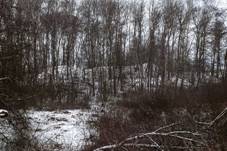 File:Tvrzit Zmeek - celkov pohled.jpg