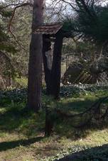 Zvonika vidlk (Pytlkov).jpg