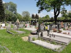 File:CZE esk Tn Svibice Hbitov.JPG