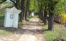 Kov cesta Chudice 2015.JPG