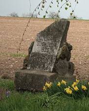 Litava (Ol), vehlova lpa (0402).jpg