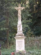 ernvka-kek u silnice do Deblna.jpg