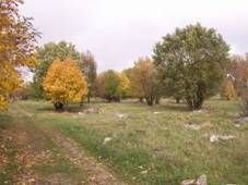 Synalovsk� kopaniny