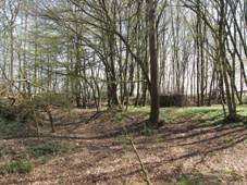 Radonice, valy bval tvrze.jpg