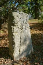 esk Dub - park Blaschkovy vily, k z Hradan 3.jpg