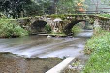 Radostin (Sychrov) 6.jpg