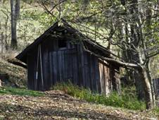 Prackov - surna ovoce u chalupy p. 24 (3).jpg