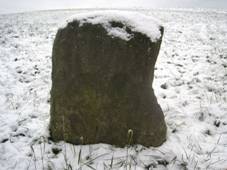 Domaslavice - kov kmen u kapliky (1).JPG