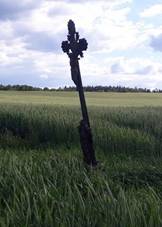 K jin od Zho v poli (Q105003806) 01.jpg