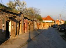 Pole�ovice, cellars.jpg