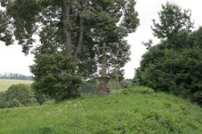 Koma - morov hbitov s kem obr01.jpg