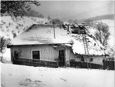 1000136382 - venkovsk usedlost