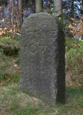 Krtk - rozcest erven a lut, star hranin patnk