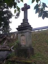 Debrne kriz.jpg