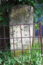 Smr kmen .1663 Pustim.jpg