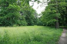 Z�mek Slavkov u Brna - park 1.jpg