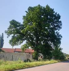 https://d34-a.sdn.cz/d_34/c_img_G_f/BxzqV9.jpeg?fl=res,2200,2200,1