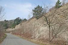 PR Stemoick str1.jpg